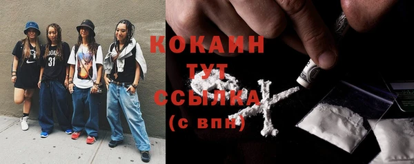 соль ск Бородино