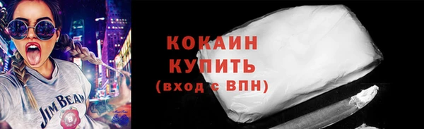 соль ск Бородино