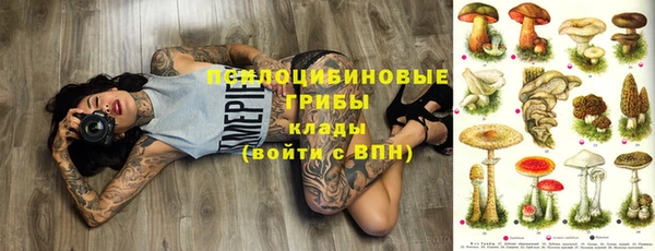 соль ск Бородино