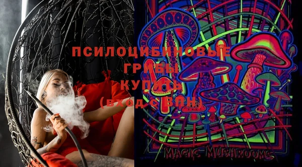 дмт Бронницы