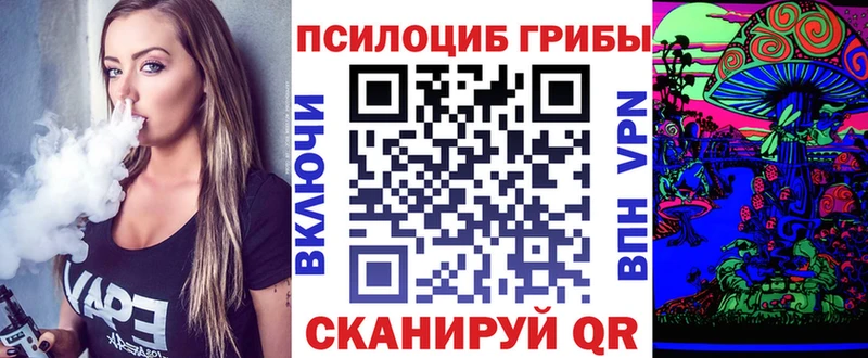Галлюциногенные грибы Psilocybe Оренбург