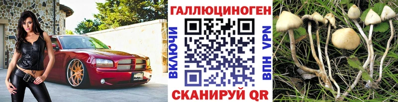 Псилоцибиновые грибы прущие грибы  где купить   Оренбург 